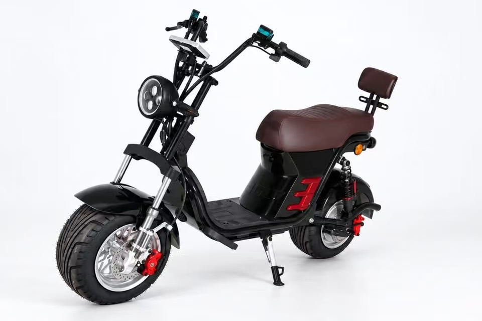 DNYN EV CITYCOCO | Cruiser-Inspired Electric Moped for Urban Living, Leisure Riding & Tourism Rental